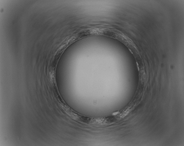 X0000067950329200605041832