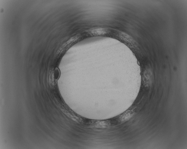 X0000067950330200605041832