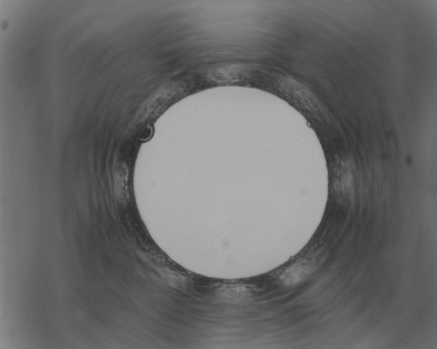 X0000067950332200605041832