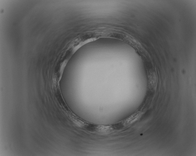 X0000067950333200605041832