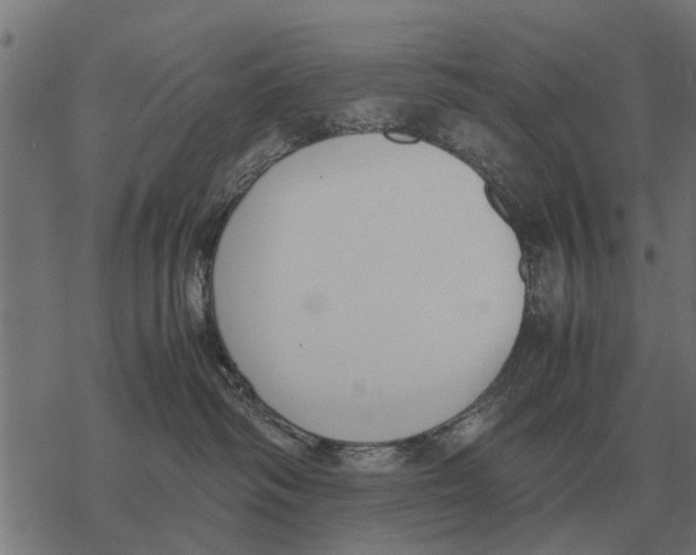 X0000067950334200605041832