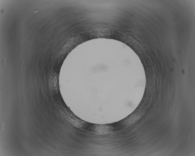 X0000067950336200605041832