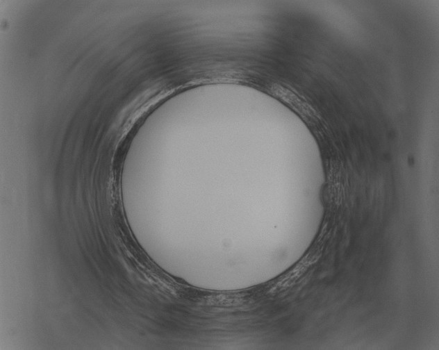 X0000067950338200605041831