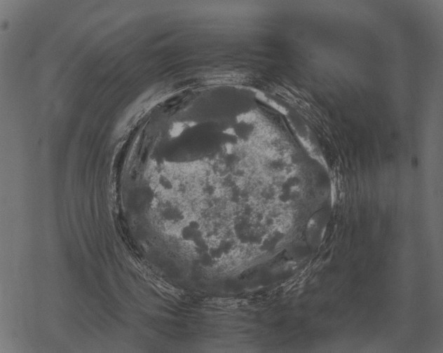 X0000067950339200605041831