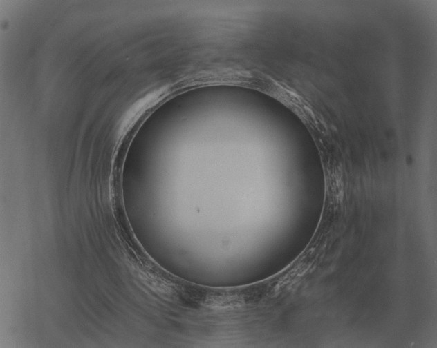 X0000067950340200605041831