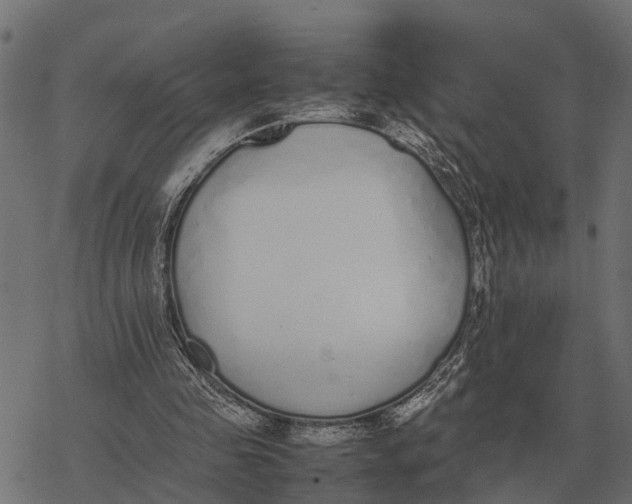 X0000067950341200605041831