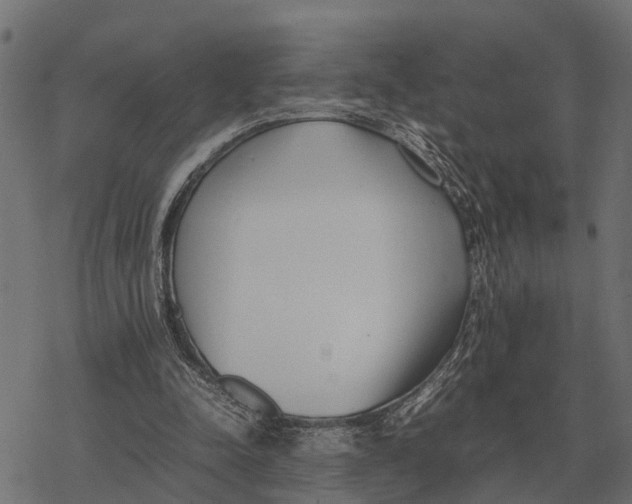 X0000067950342200605041831