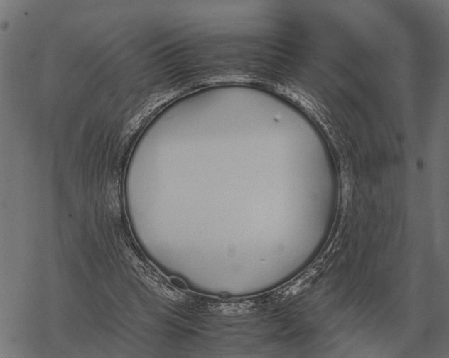 X0000067950345200605041831