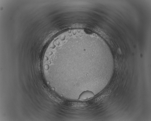 X0000067950347200605041831