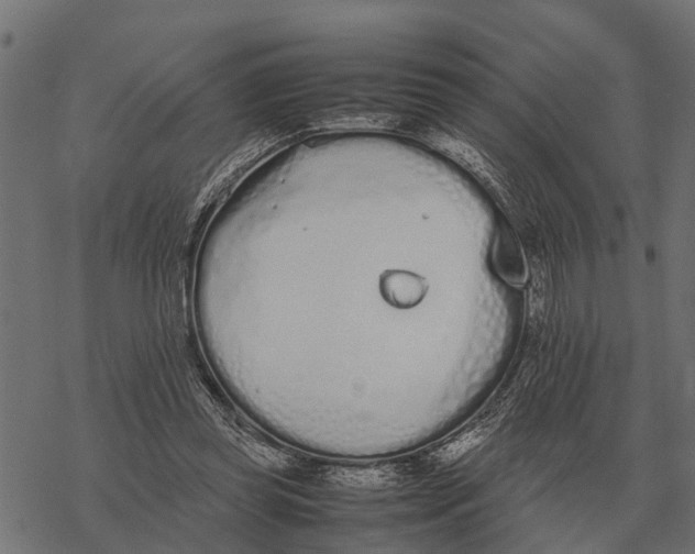 X0000067950349200605041831