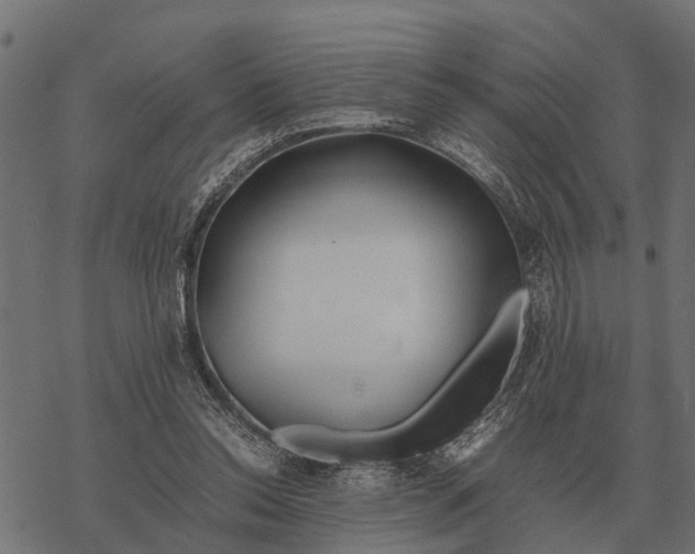 X0000067950350200605041831