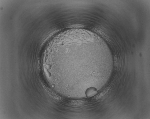 X0000067950351200605041831