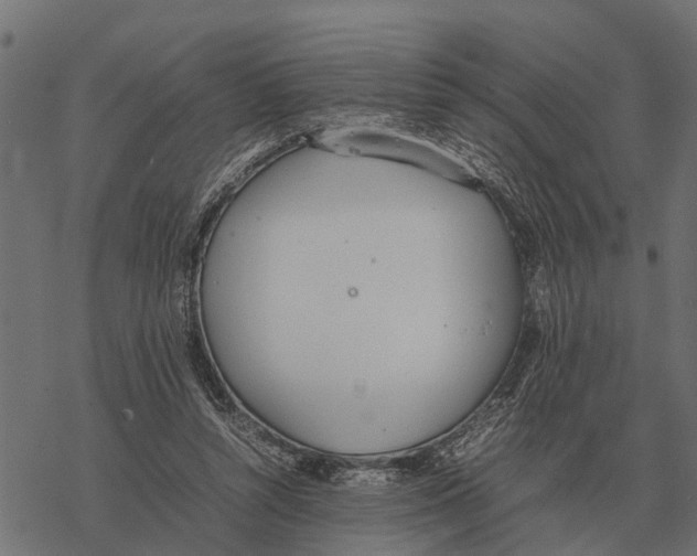 X0000067950352200605041831