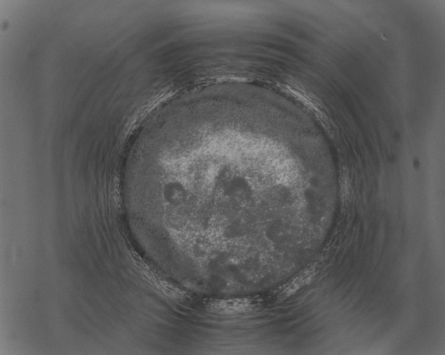 X0000067950353200605041831