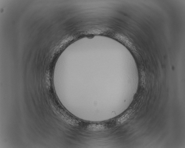 X0000067950354200605041831