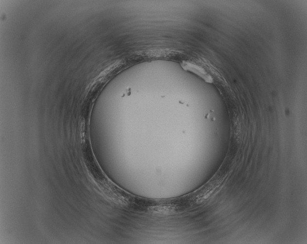 X0000067950356200605041832