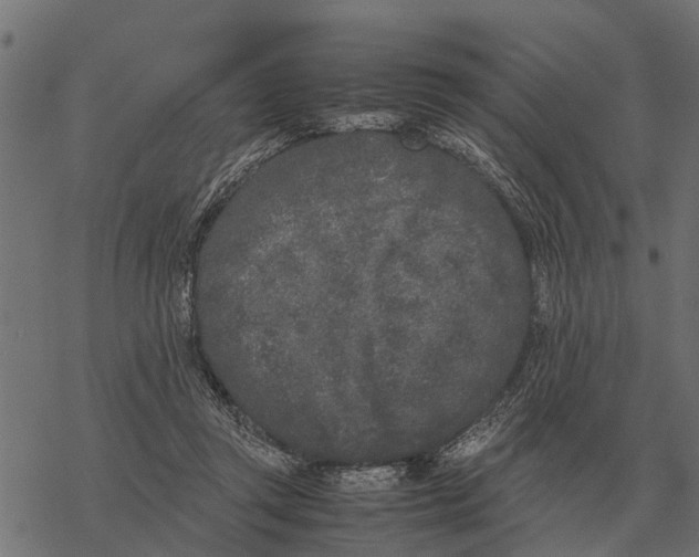 X0000067950357200605041832