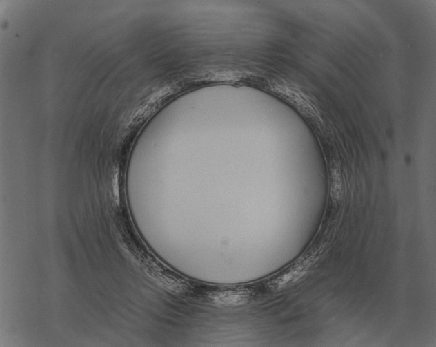 X0000067950358200605041832