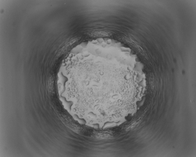 X0000067950359200605041832