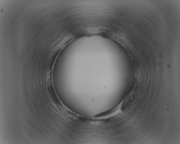 X0000067950360200605041832