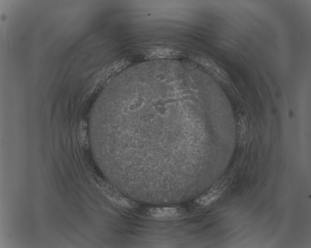 X0000067950361200605041832