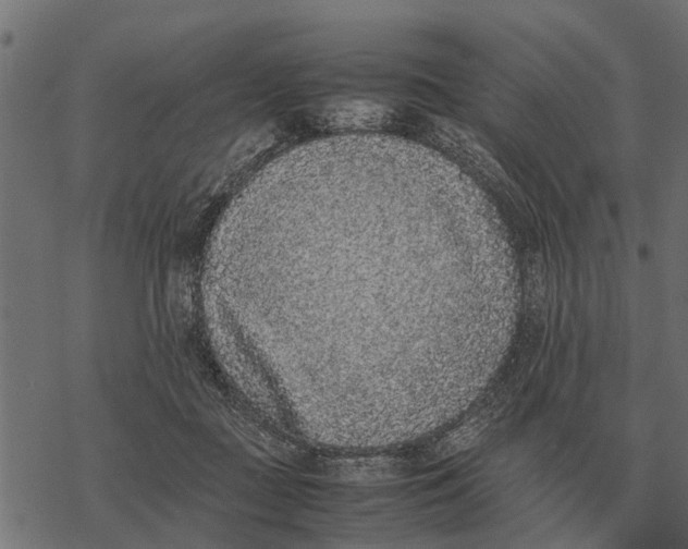 X0000067950363200605041832