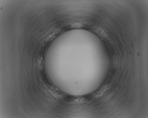 X0000067950364200605041832