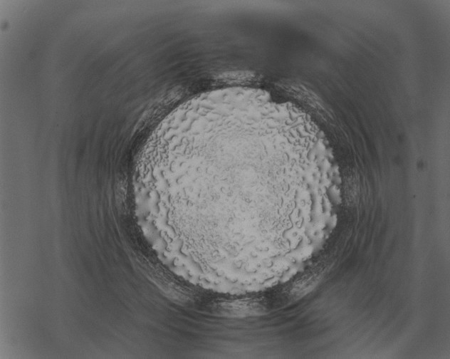 X0000067950365200605041832