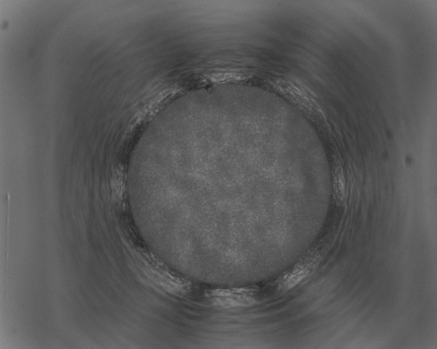 X0000067950367200605041832