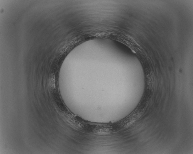 X0000067950368200605041832