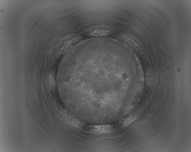 X0000067950371200605041832