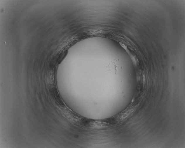 X0000067950372200605041832