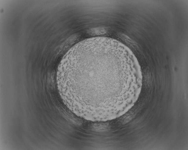 X0000067950373200605041832