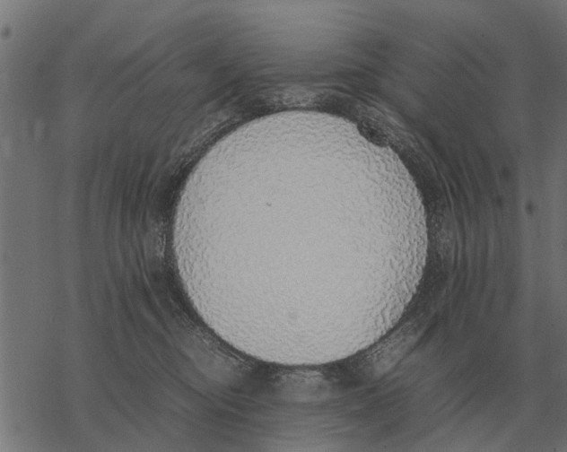 X0000067950374200605041832