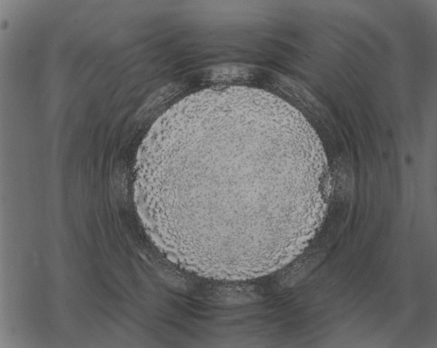 X0000067950375200605041832