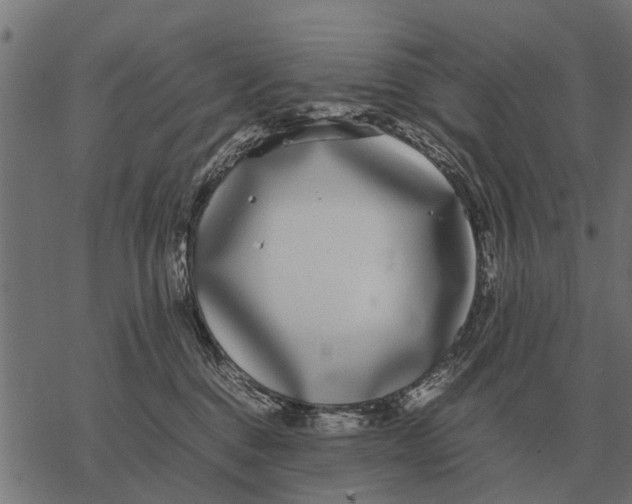 X0000067950376200605041832