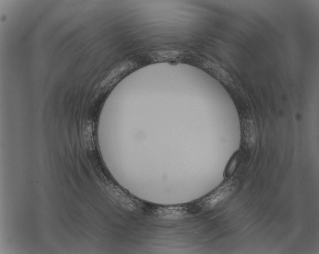 X0000067950378200605041832