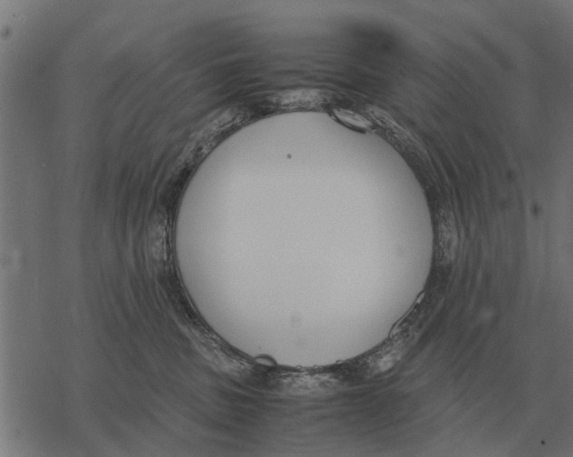 X0000067950379200605041832