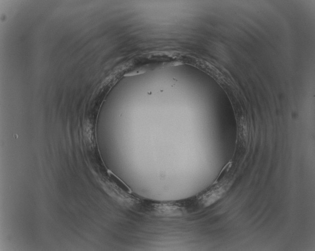 X0000067950380200605041832