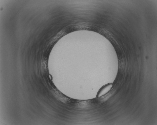 X0000067950382200605041832