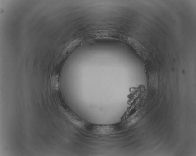 X0000067950383200605041832