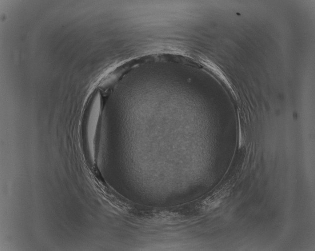 X0000067950387200605041831