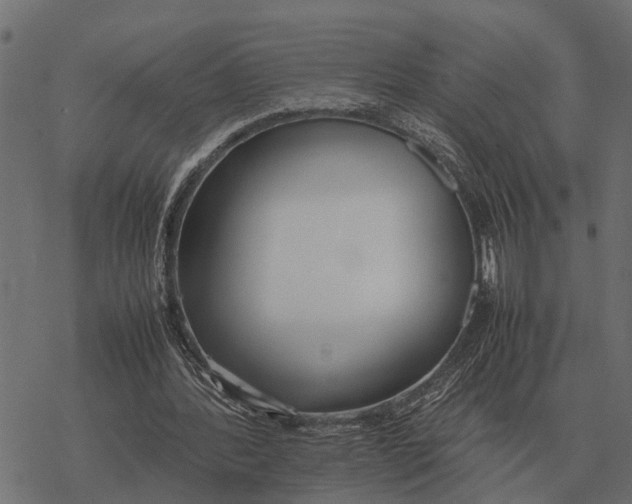 X0000067950388200605041831