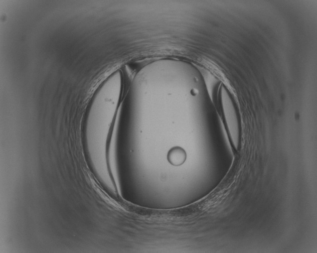 X0000067950389200605041831