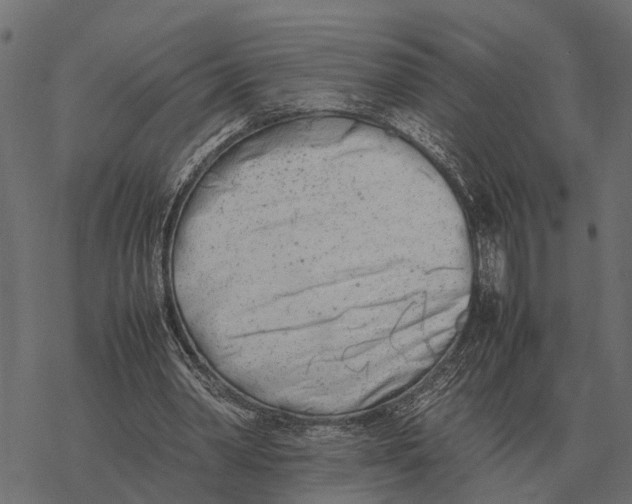 X0000067950390200605041831