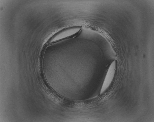 X0000067950391200605041831