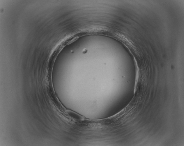 X0000067950392200605041831