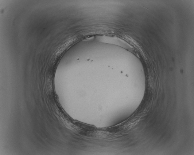 X0000067950393200605041831