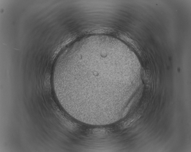 X0000067950394200605041831