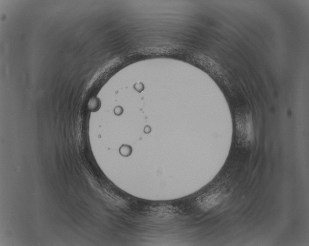 X0000067950396200605041831